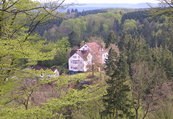 Bild 7