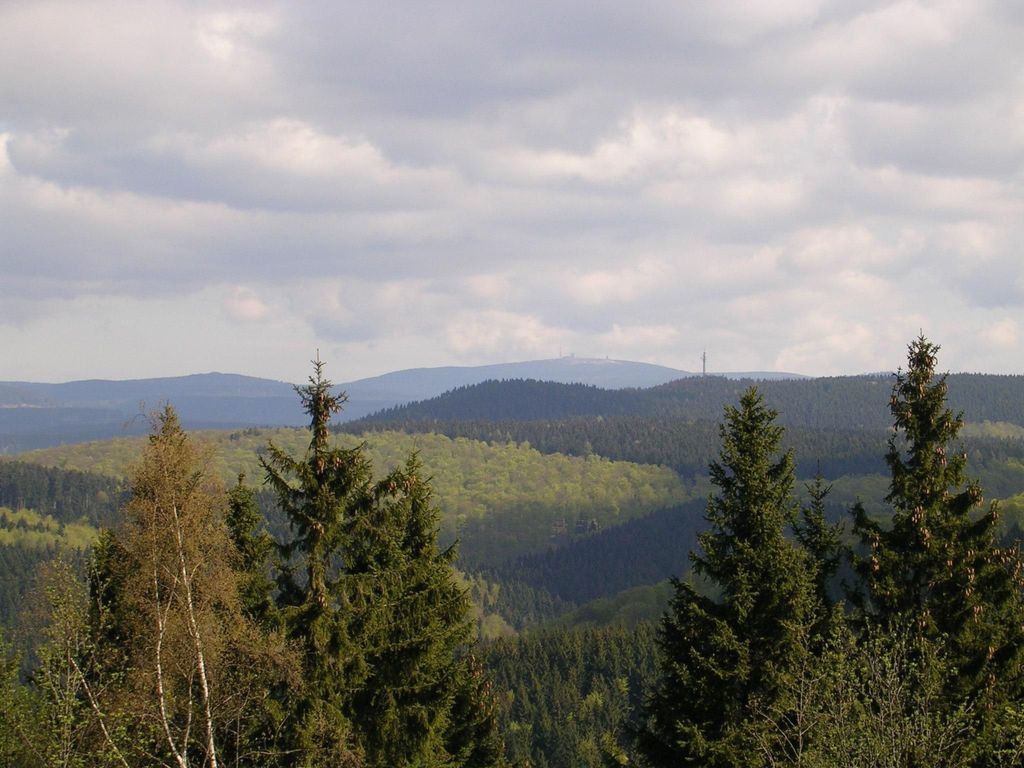 Der Falkenhorst