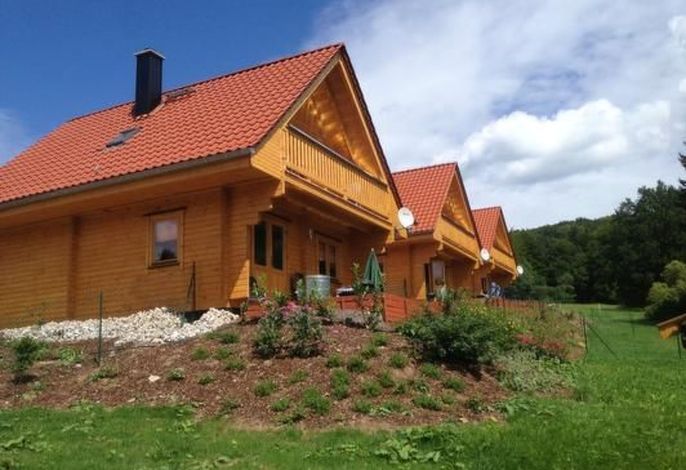 Blockhaus 1 im Harz