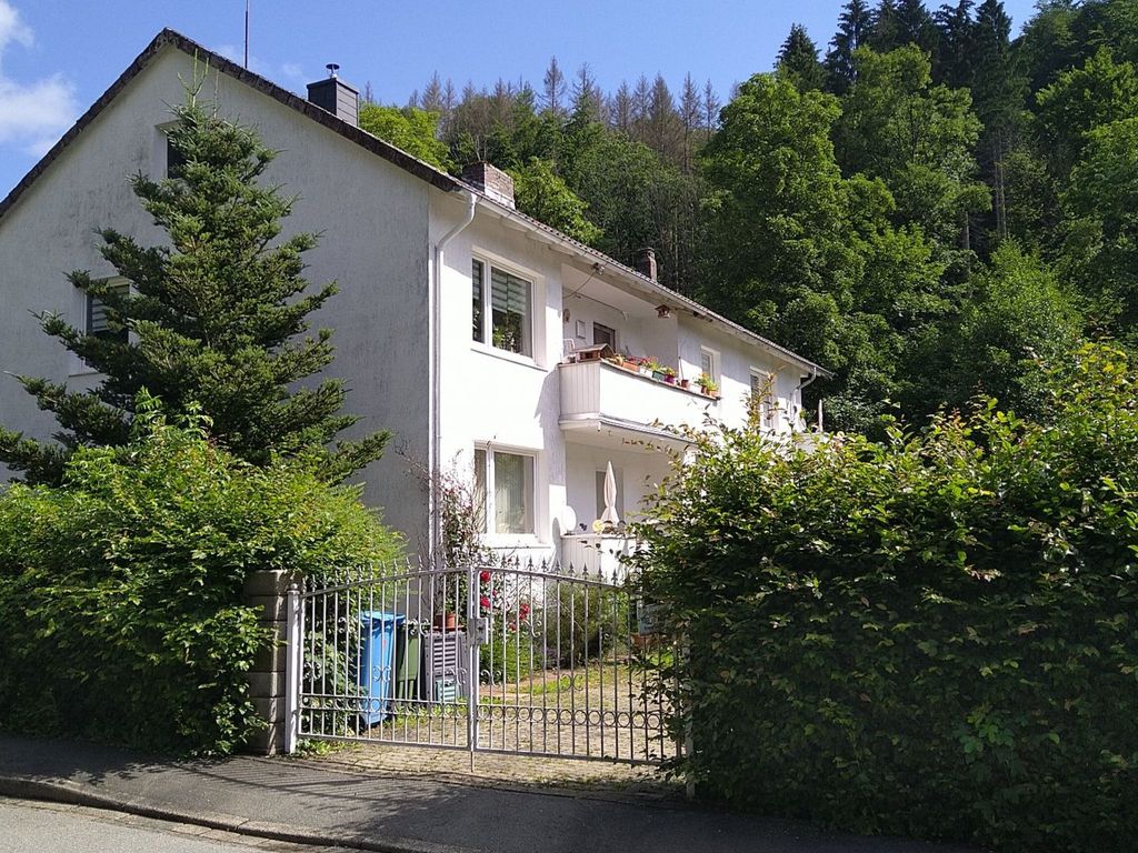 Appartement in Steina mit Terrasse