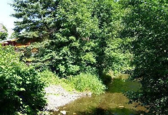 Bild 14