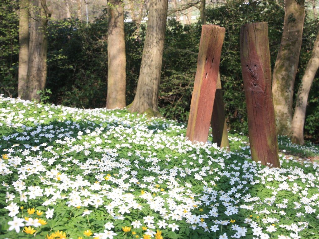 Wohlfühloase für Natur- und Gartenliebhaber