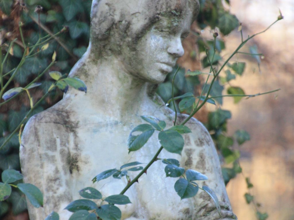 Wohlfühloase für Natur- und Gartenliebhaber