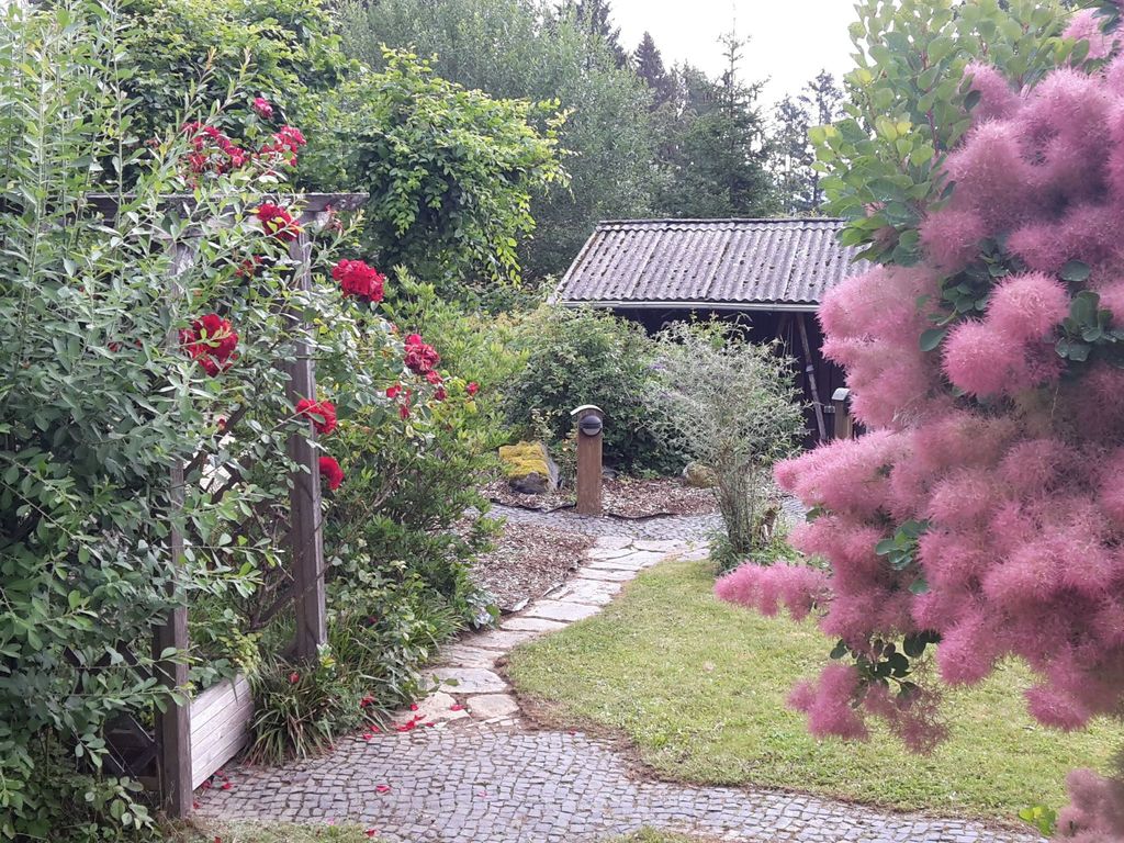 Amselnest