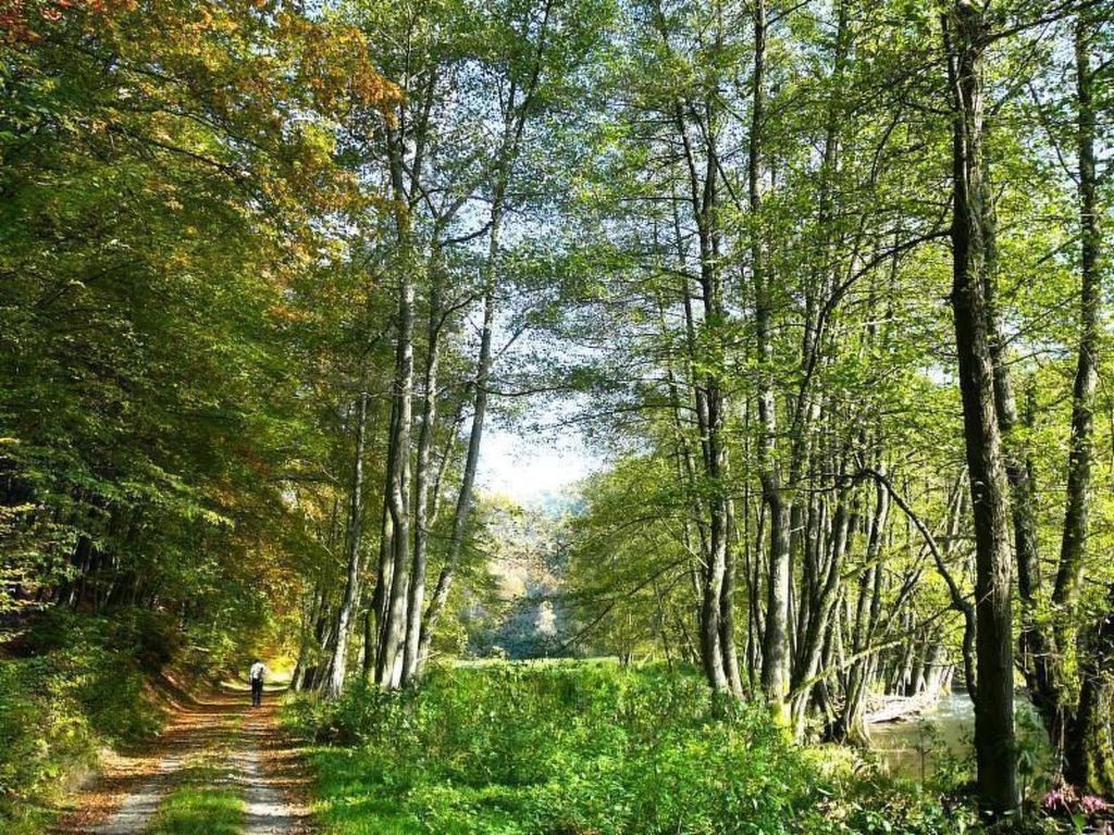 Großzügige Fewo im Künstlerhaus