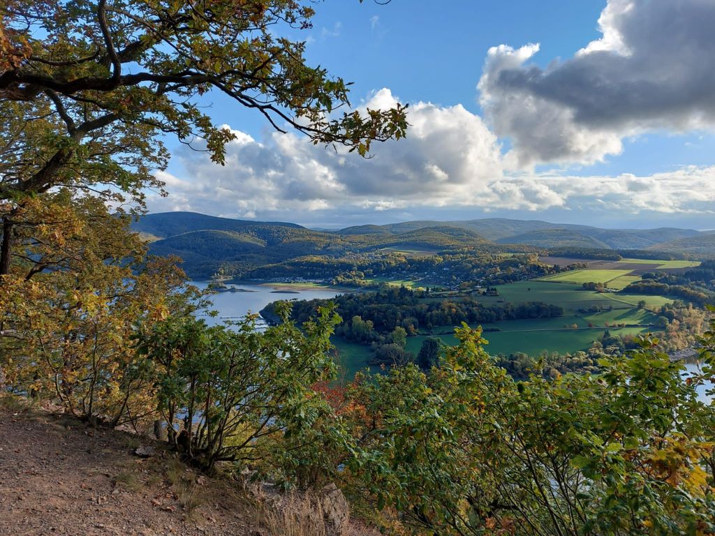 Kellerwald