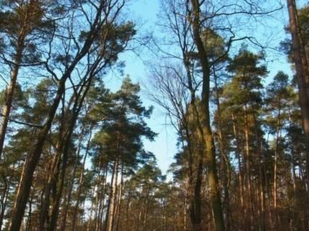 Landleben