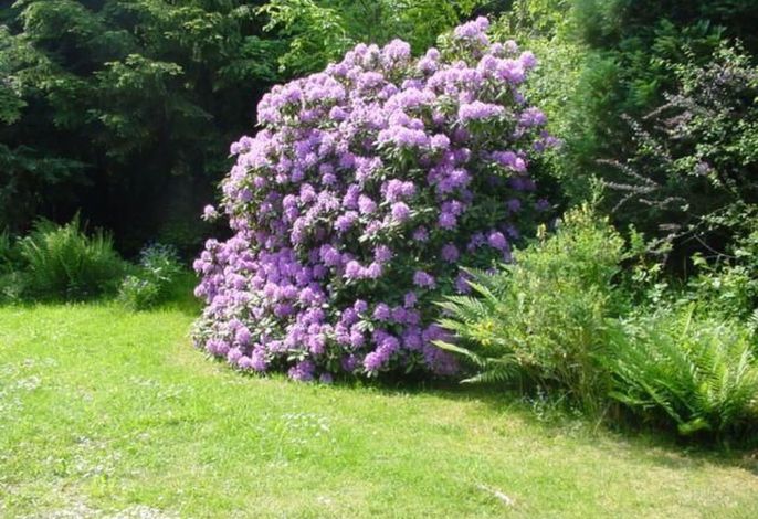 Bild 21