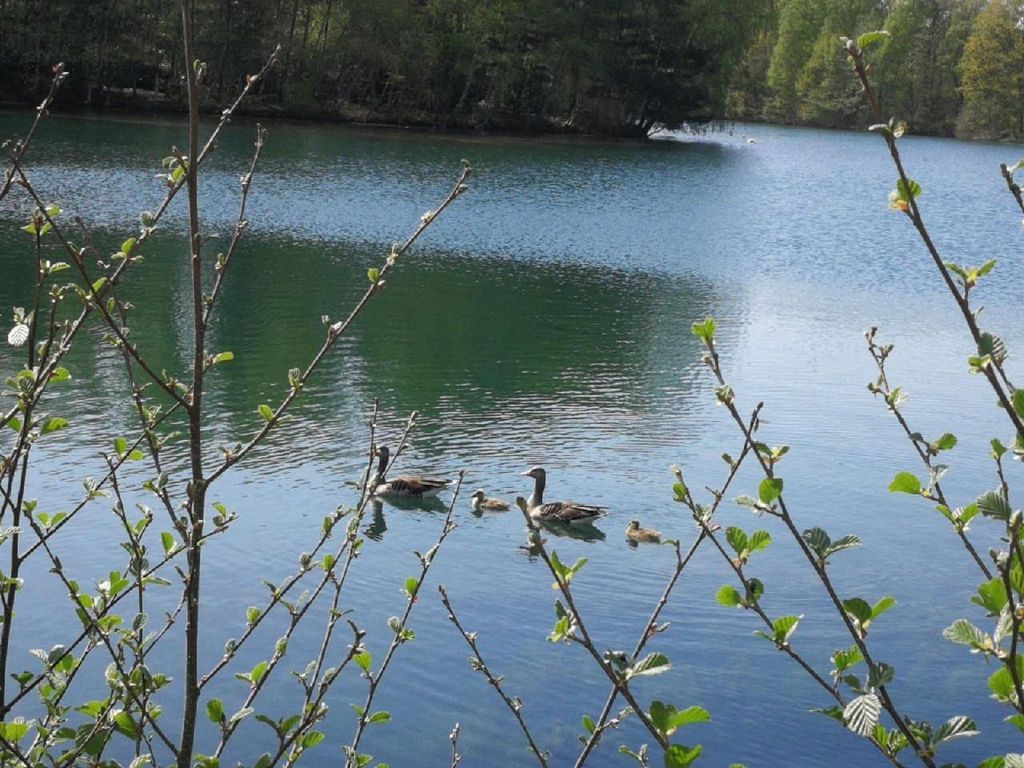 Natur pur am Veb´nekoten