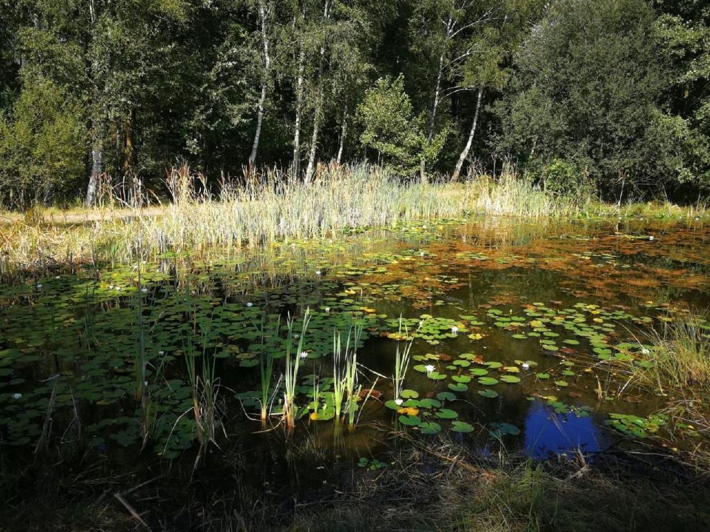 Natur pur am Veb´nekoten