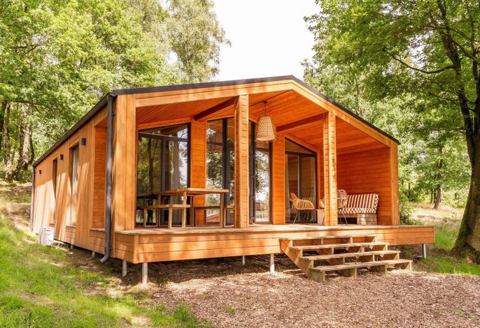 Wilsumer Berge Resort - Forest House Scandi