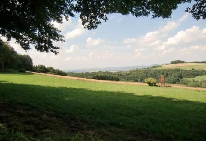 Bild 14
