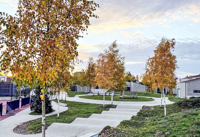 Bild 19