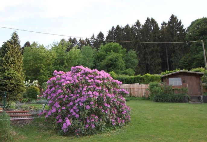 Bild 18