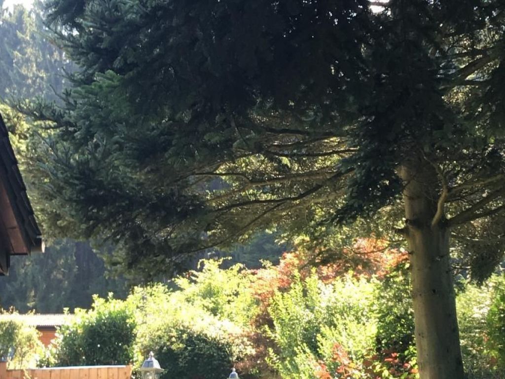 in Oberlahr mit Großem Garten