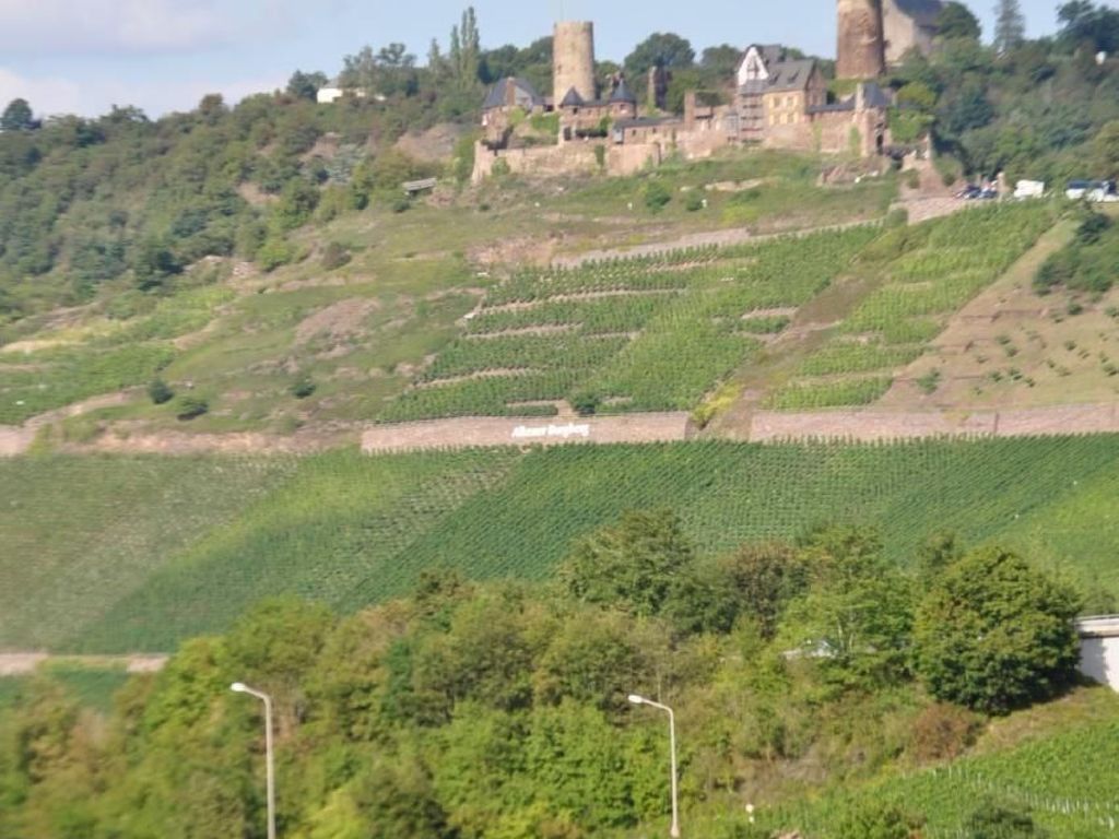 Burgblick