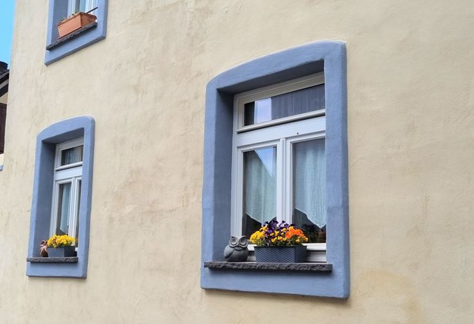 Bild 16