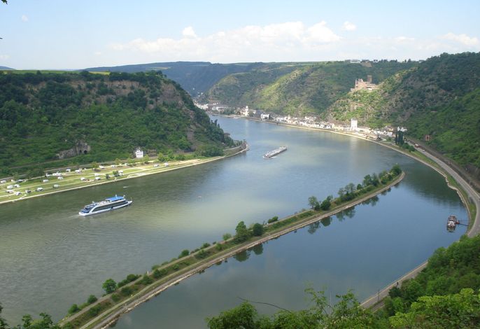 Bild 15