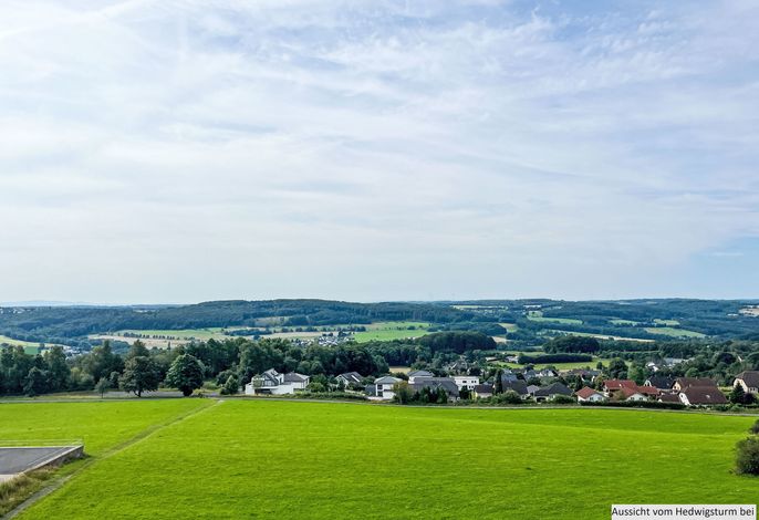 Bild 12