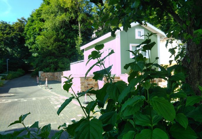 Bild 2