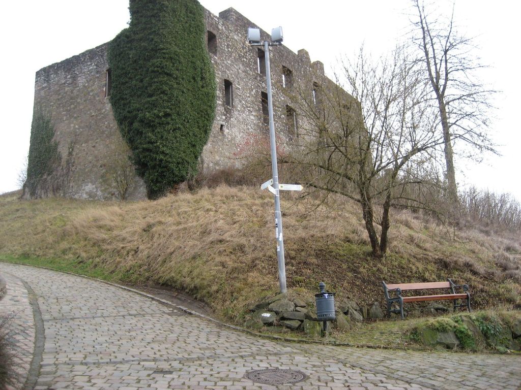 in der Vulkaneifel