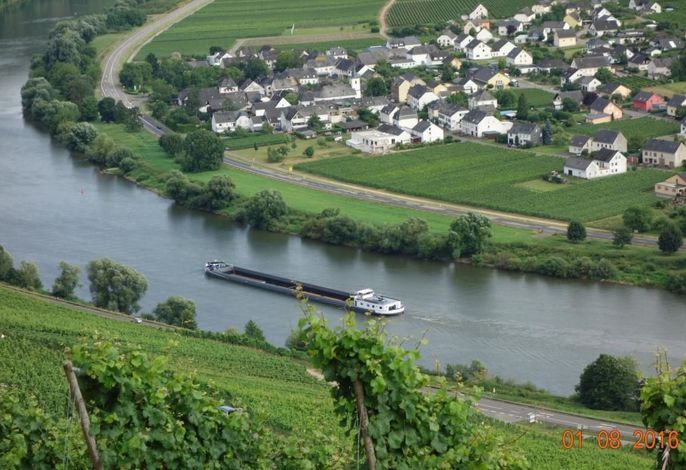 Bild 14