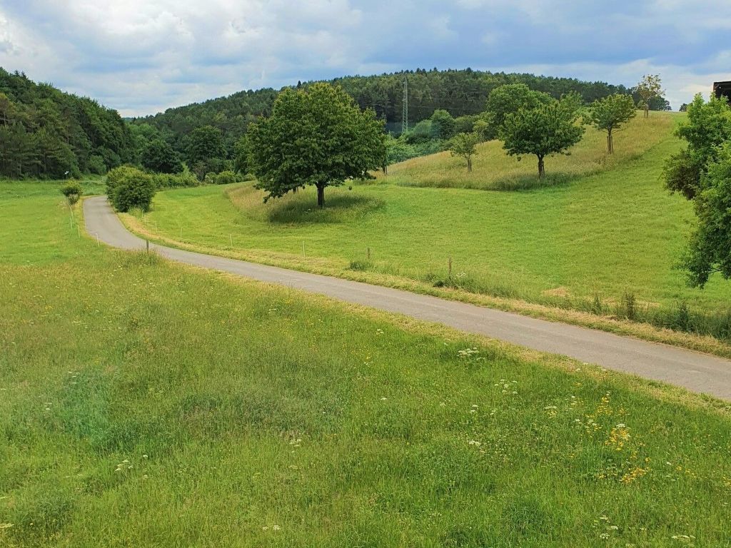 Naturblick