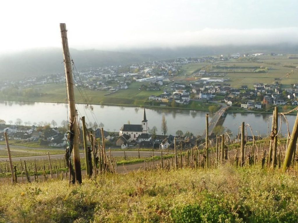 Berkele