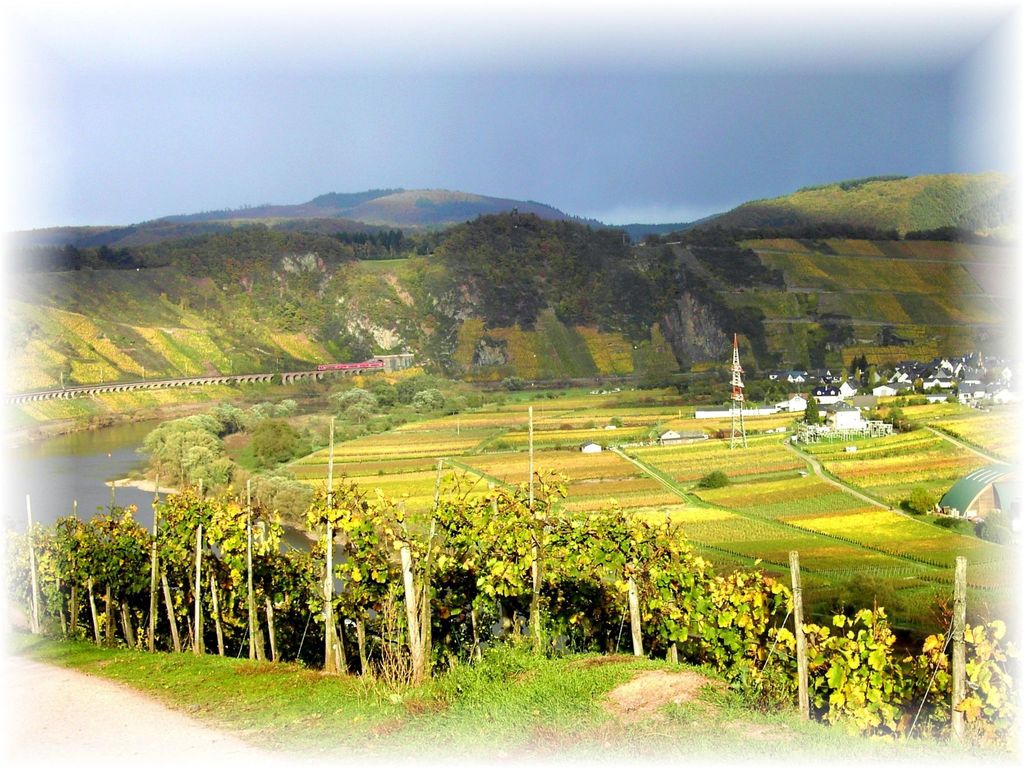 zur Mosel