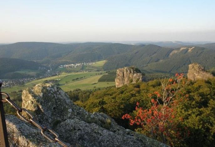Bild 4