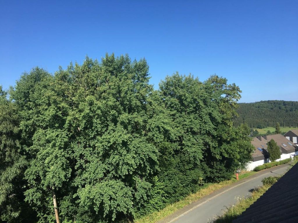 Berg- und Seeblick am Hillebachsee