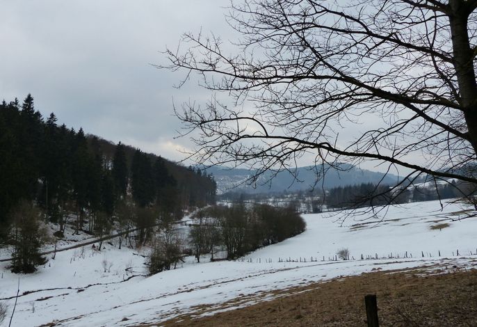 Bild 19