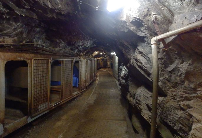 Bild 12
