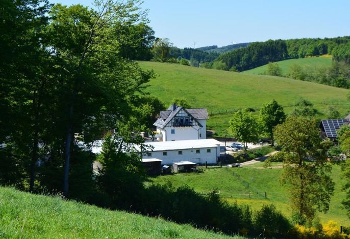 Bild 6