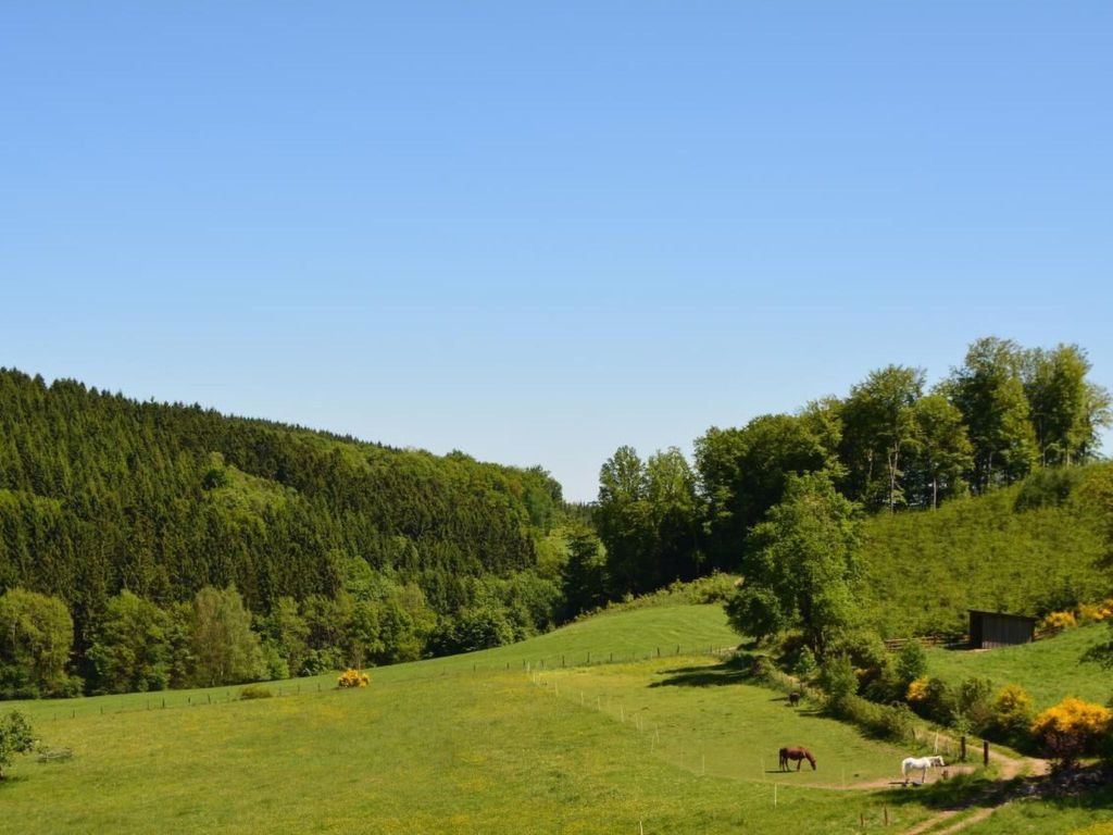 in Feldmannshof mit Grill und Garten