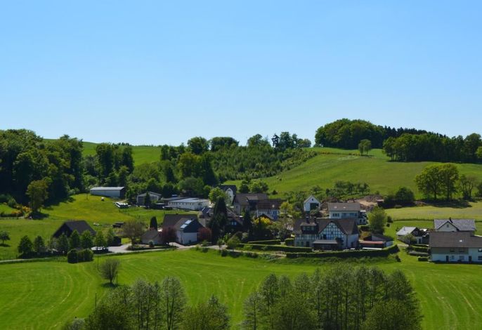 Bild 16