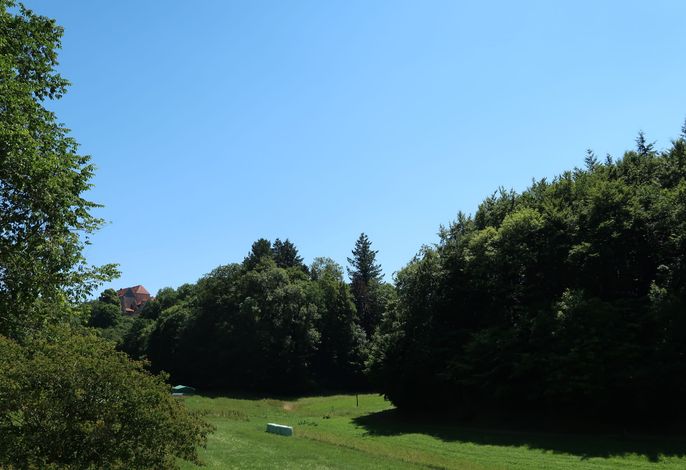 Bild 15