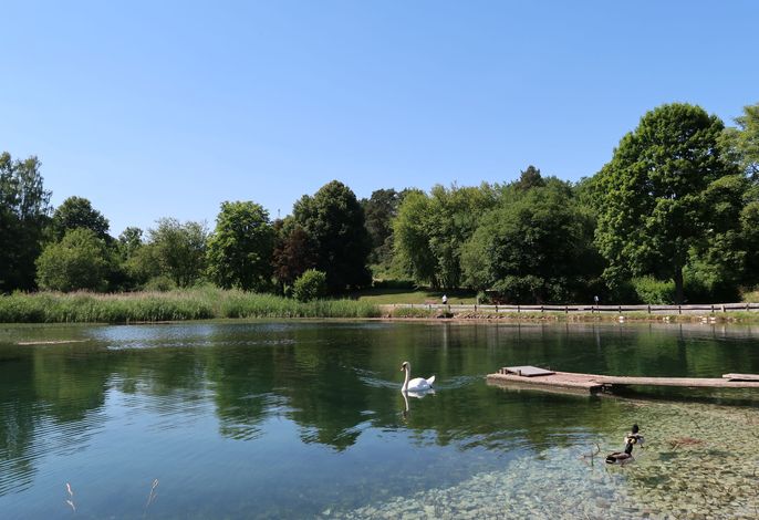 Bild 9