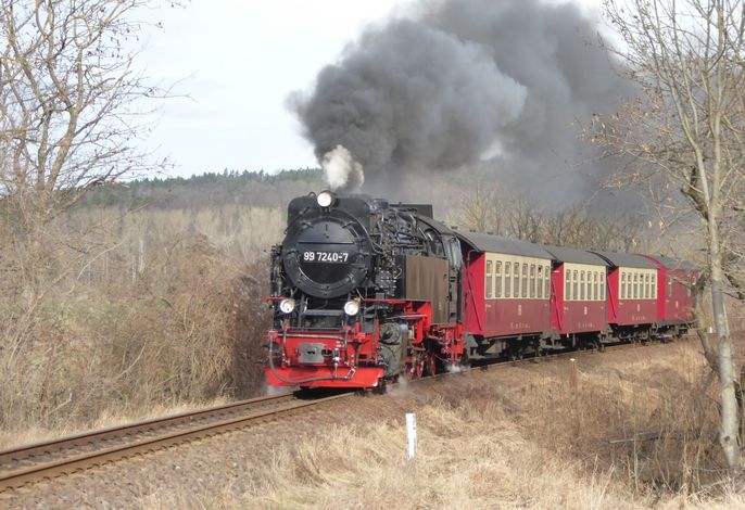 Bild 13
