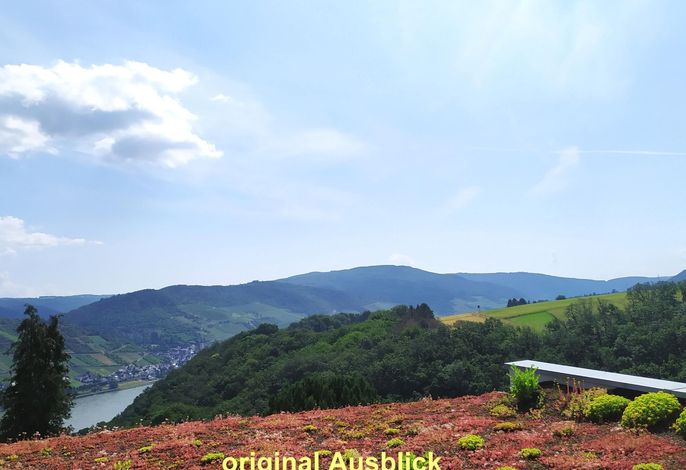 Appartement in Medenscheid mit Garten und Terrasse