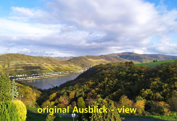 mit Balkon und Rheinblick