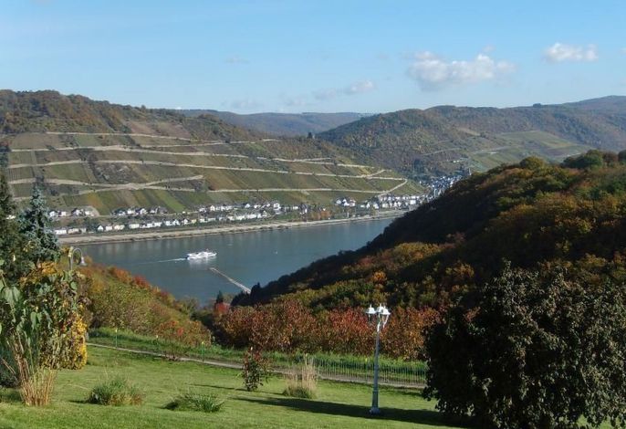 Bild 10
