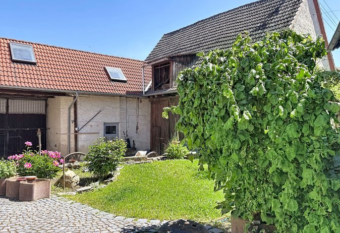 Bild 11