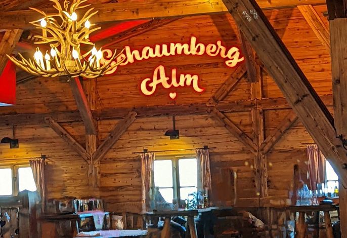 Bild 19