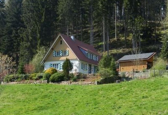 Bild 19