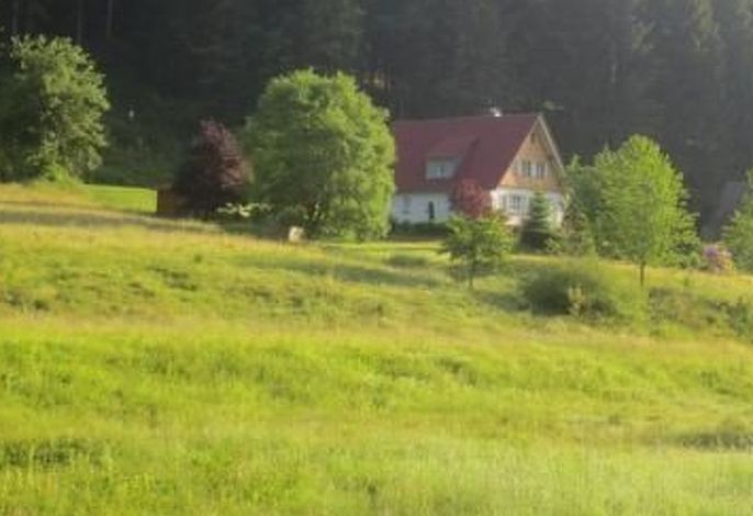 Bild 13