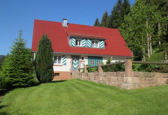 Bild 16