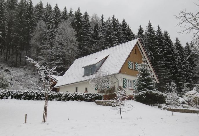 Bild 15