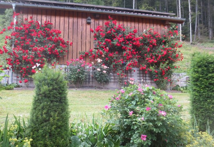 Bild 22