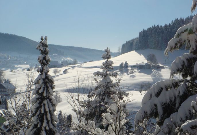 Bild 15